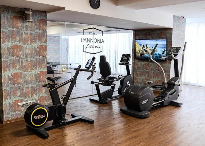 Pannonia 1893 Premium 4*