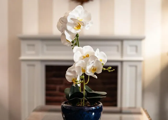 Hotel Pannonia 1893 Premium Sopron