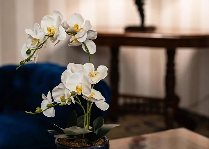 Hotel Pannonia 1893 Premium 4*